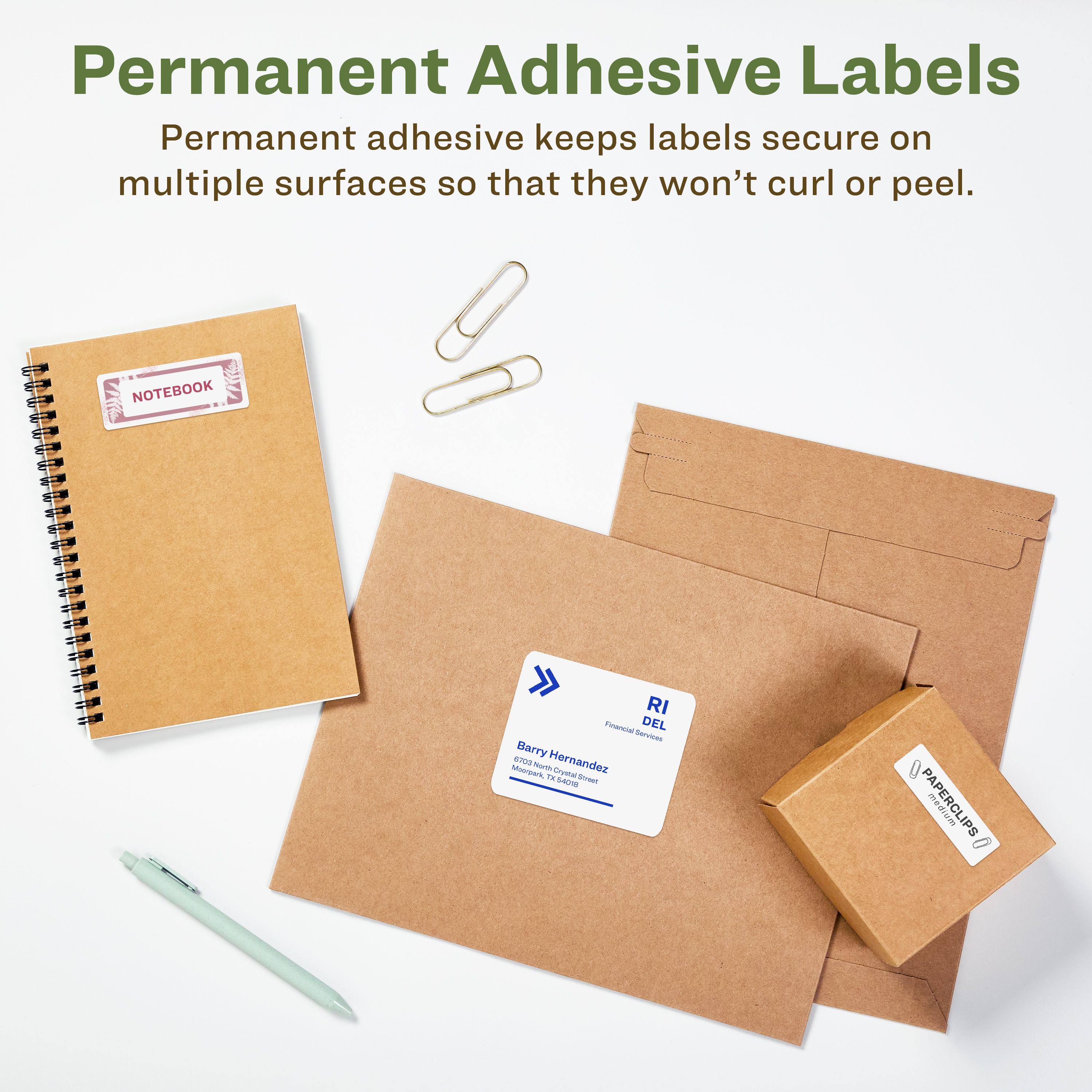 リーページ EcoFriendly Shipping Labels, 3-1/3